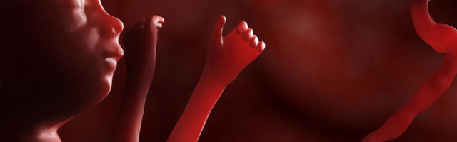 Abordiga tapetakse rohkem inimesi kui on hukkunud sõdades