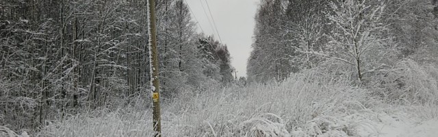 Elektrilevi: enamik kliendikatkestusi saab korda täna hilisõhtuks