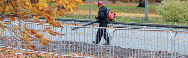 Таллинн собирается отказаться от бензиновых воздуходувок при уборке листьев
