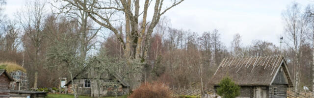 AHTO ILMAJUTUD | Talv näitab oma palet