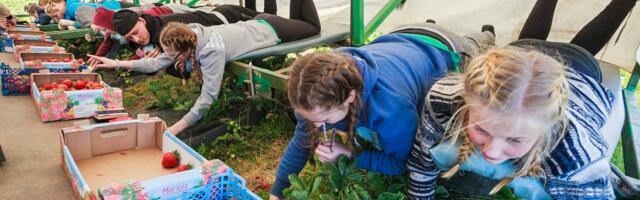 KÜSITLUS | Kas alaealiste töötamisega seotud piirangud on liiga karmid?