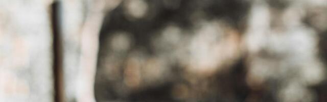 Keelu saanud kaup immitseb Eesti lettidele: Vene juurtega popp tee on poodides tagasi