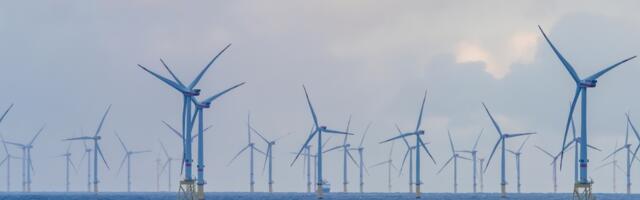 USA okeanograaf: Tuulegeneraatorite poolt põhjustatud ökoloogiline kahju on oluliselt suurem, kui arvati