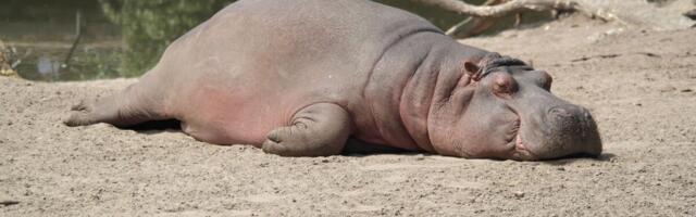 Nende kaheksa raamatuga teed võimsa restardi nii elus kui ka äris