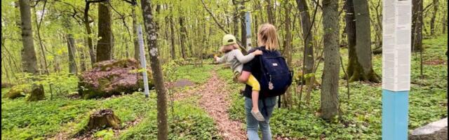 Spetsialist: Eestis on raiesurve nii suur, et loodusmetsa nägemiseks tuleb sõita Tallinna