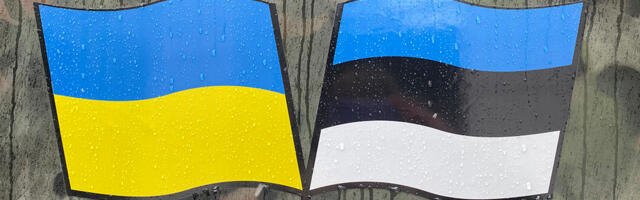 Ülevaade: Eesti on maailmas kõige rohkem ohverdanud Ukraina nimel – üle 2000 euro elaniku kohta