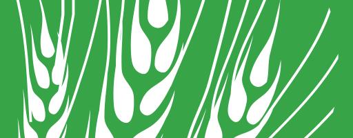 John Deere 6M seeria: mitmekülgsus ja töökindlus