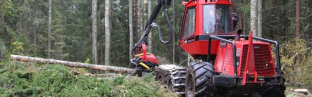 Metsavarumise käibe TOP: 20 suurima käibega ettevõtet