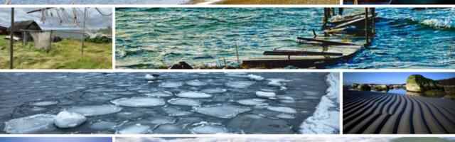 SUUR GALERII: elagu Eesti, elagu Viimsi!