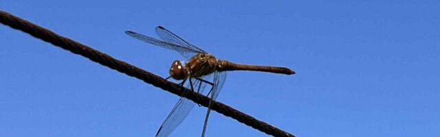 AHTO ILMAJUTUD | Suvi sai selleks korraks läbi