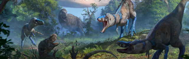 Mürsikueas türannosauruseks peetud hiidsisalik osutus omaette liigiks