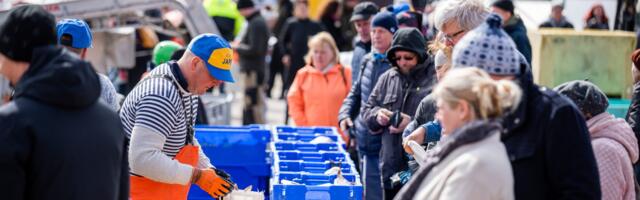 Laupäeval toimub kaheksas avatud kalasadamate päev