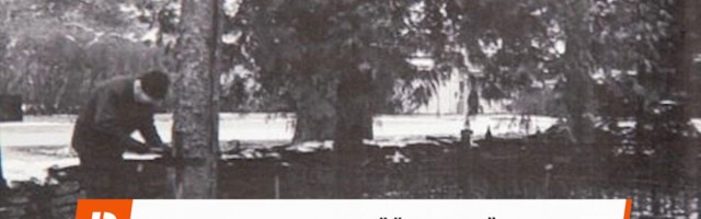 Reporter: Reopalu kalmistu rüüstaja jäi pildile