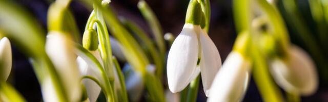 Just praegu tuleb otsida positiivset