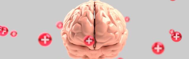 Soolestiku mikrofloora mõjutab aju tööd