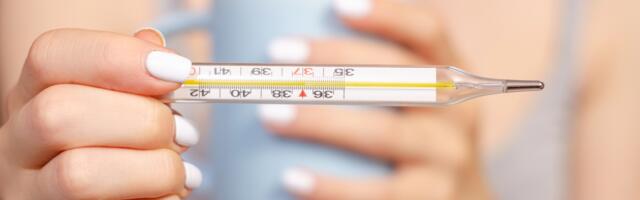 Tõde C-vitamiini ja ingveritee kohta: mis aitab, mis on müüt ja kas “igaks juhuks” tasub üldse midagi võtta?