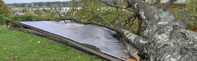 Nädalavahetusel Eestit räsinud torm tõi Salva klientidele ligi 60 000 eurot kahju