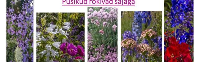 AVATUD AED Elurikkuse aias PÜSIKUD ROKIVAD SAJAGA