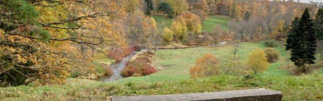 Toila rahvas on hämmingus: miks viiakse kiire internet suvilakooperatiividesse, aga mitte neile