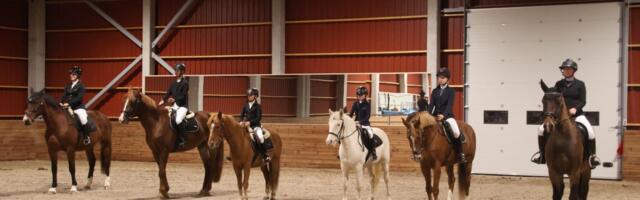 Reedel avati kantripeoga Tori hobusekasvanduses Eesti suurim ratsamaneež