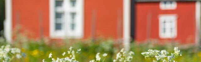 Päevahoroskoop : neljapäev, 31. juuli