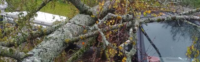 Lõuna-Eesti päästjatel oli töine nädalavahetus