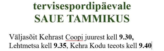 Harjumaa puuetega inimeste tervisepäev 17.08.2024