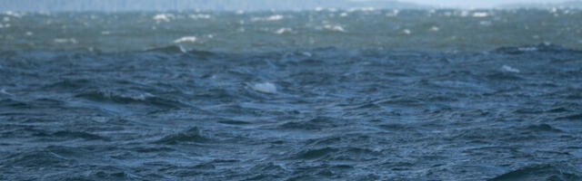 Poola kohus vabastas Nord Stream 2 õhkulaskmises kahtlustatava