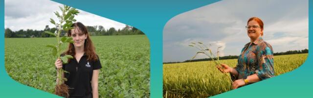 Mullapäeval selgusid aasta mullasõbrad