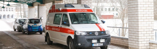 Autojuht sai kauba laadimisel viga