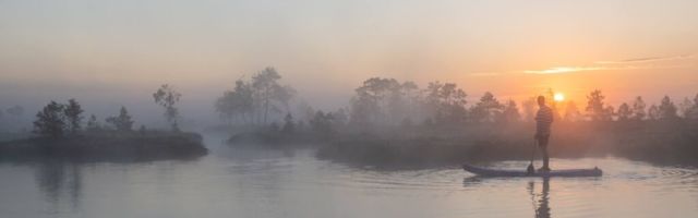 Romet Vaino: valgete ööde lummus