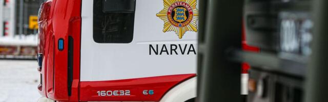 Narvas süüdati kahel korral puu
