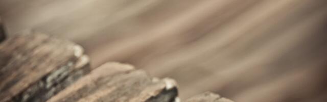 Pärnu linn tunnustab pikalt abielus olevaid inimesi