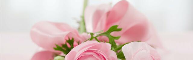 Buduaaris on naistepäev