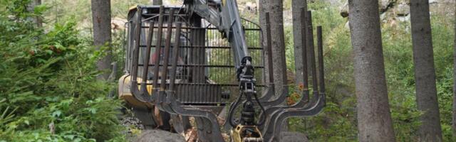 Vene puidutööstuses on tekkinud „impordikriis“