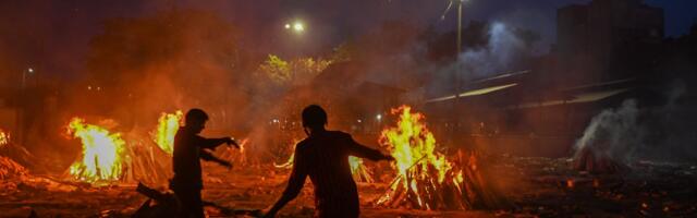 Fazi & Green: Covidi kuriteod on nii jõhkrad, et ükski riik ennast neis süüdi ei tunnista