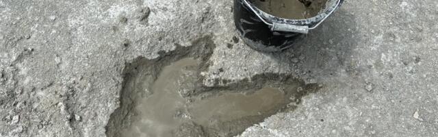 Taimetoidulised ees ja lihasööjad järgi: Suurbritanniast avastati suurim dinosauruste jälgede leiukoht