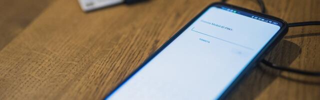 Liisi Keedus: mobiiliga hääletamise ärajäämine on võit demokraatiale!