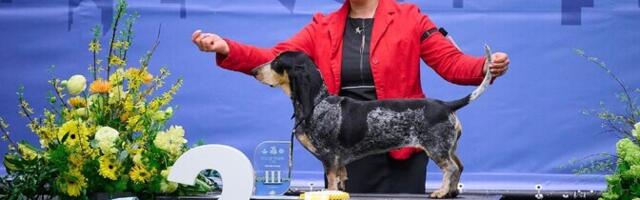 Kasvataja: koertenäitus on väga hea koht, kus tutvuda uute koeratõugudega