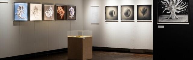 Raplas avati Janno Bergmanni ja Leho Rubise näitus "Tajuväljad"