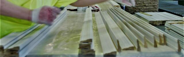 KÜSITLUS | Millised küberründed on teie firmat tabanud, mida olete neist õppinud?