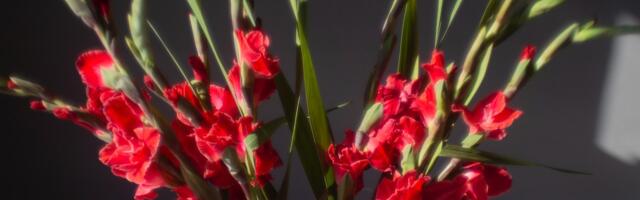 Valgamaa Kutseõppekeskuses alustab kooliteed rekordarv õpilasi