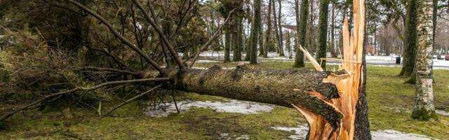 Päästjad kehastusid saemeesteks