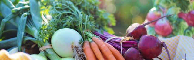 Rahvaalgatus toidu käibemaksu vähendamiseks on saanud üle 90 000 allkirja