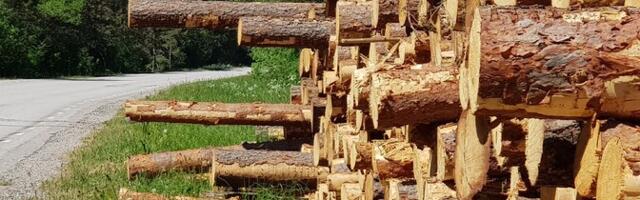 RMK-lt soovib puitu osta viis puidukeemiatehast plaanivat ettevõtet