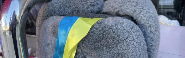 POLIITKOLUMNIST | Yana Toom: näitame üles inimlikkust ja peame meeles, et igal teisel eestivenelasel on nii Venemaal kui ka Ukrainas lähedasi ja sõpru