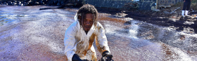 FOTOD ja VIDEOD | Katastroof: ränk naftaleke reostab Mauritiuse neitsilikku loodust