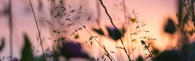 Keskkonnaagentuuri blogis: Juuli pakkus rohkelt tormist ilma, kuu teisel poolel jõudis kohale kauaoodatud soojus