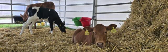 Eesti Maaülikooli konverents ühendab loomade tervise ja toidutootmise tuleviku