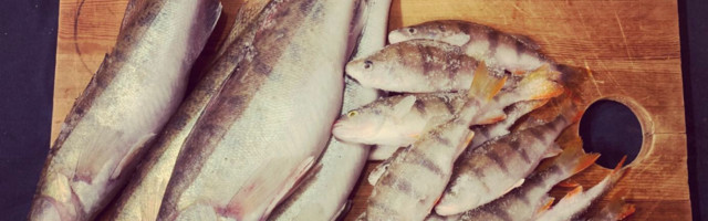 Mart Kase: hea talv on Eesti kala maitsega